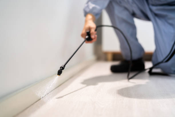 Licensed Rodent Control service in Sauk Village, IL - Nex Pest Control