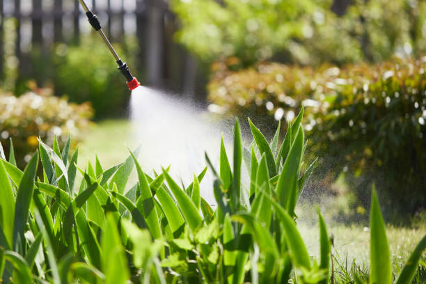 24/7 Emergency Rodent Control experts in Sauk Village, IL